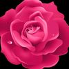 tarar.78622