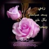 alaa_alsrarahni