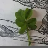sabrinaestsamagie60240