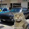 mateo_037_ns