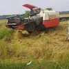 vietmaygat