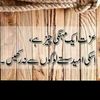 nizamdicor.qta4