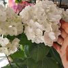 seherim_38