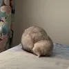 quynh_hyhy29