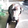 julian_juli5332gmx