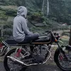 .alf_8