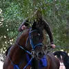 khalid38550