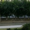 mancera1094