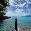 dendipurba01