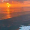 janssbbq