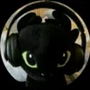 shinnvi