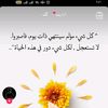 shaimaaghanem33