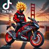 dino_rs660