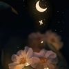 liliyonna221