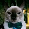 matias_iutu09
