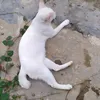 bukanakuyaaaa