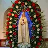 miracyamorim917