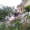 eteevi