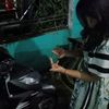 rynfrmnsyah021
