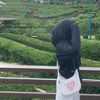 .wilda3
