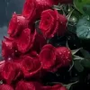 25b6819