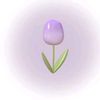rara_15052015
