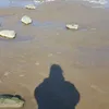 jennypenny264