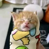 _ha.thaoo_