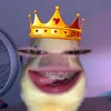 nottotallyjeseika