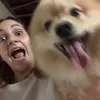 notpaulinha