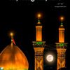 syedanaqvi609