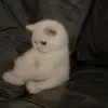 hgffghjknhcdrhducuv