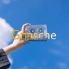 gnasche_914