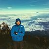 cicak_balap