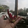 suriya_116