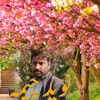 naveedcheema176