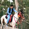 abdulbasitafridi313