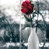 sonofsyria598