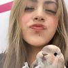 anie_rdgz