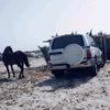 ahmedalzawam0
