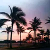 cfs_freitas