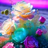 hashim1409