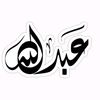 mtallah.abdallah