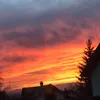 hristinaa65