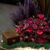 fofo14_14