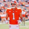 tiger__nation