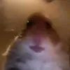 dagoatofwa