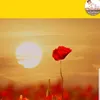 coquelicot.diderot