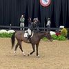 eva._equestrian