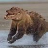 autistic_pitbull